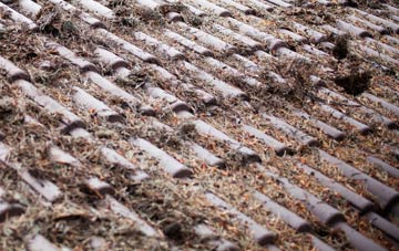 Shobrooke roof cleaning companies